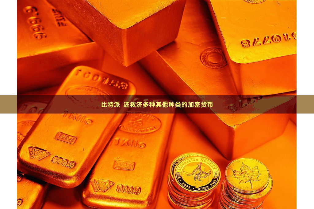 比特派 还救济多种其他种类的加密货币