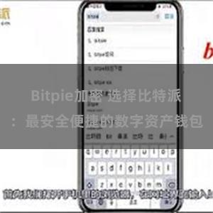 Bitpie加密 选择比特派：最安全便捷的数字资产钱包