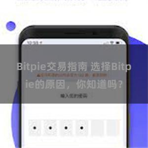 Bitpie交易指南 选择Bitpie的原因，你知道吗？