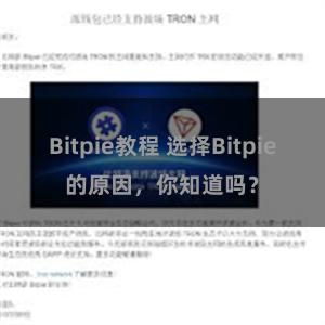 Bitpie教程 选择Bitpie的原因，你知道吗？