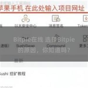 Bitpie在线 选择Bitpie的原因，你知道吗？