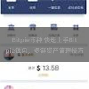 Bitpie币种 快速上手Bitpie钱包，多链资产管理技巧