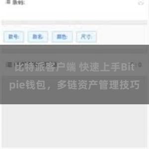 比特派客户端 快速上手Bitpie钱包，多链资产管理技巧