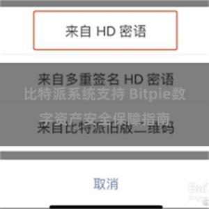 比特派系统支持 Bitpie数字资产安全保障指南