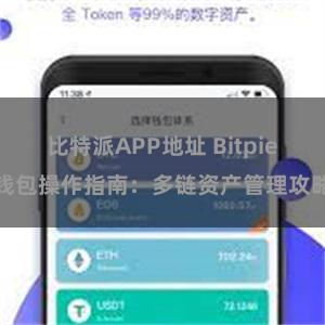 比特派APP地址 Bitpie钱包操作指南：多链资产管理攻略