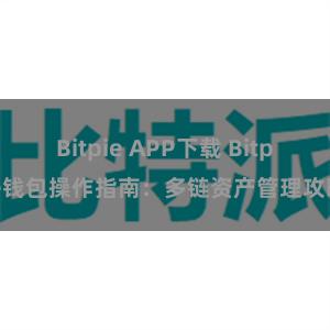 Bitpie APP下载 Bitpie钱包操作指南：多链资产管理攻略