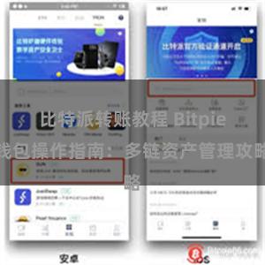 比特派转账教程 Bitpie钱包操作指南：多链资产管理攻略