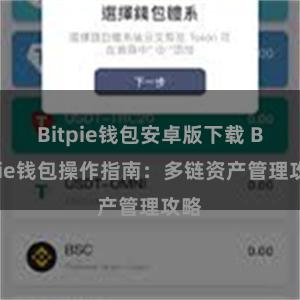 Bitpie钱包安卓版下载 Bitpie钱包操作指南：多链资产管理攻略