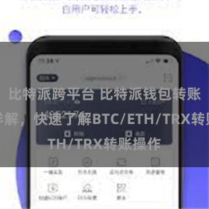 比特派跨平台 比特派钱包转账教程详解，快速了解BTC/ETH/TRX转账操作