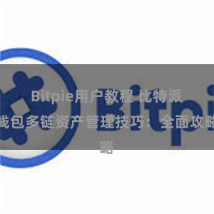 Bitpie用户教程 比特派钱包多链资产管理技巧：全面攻略
