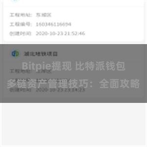 Bitpie提现 比特派钱包多链资产管理技巧：全面攻略