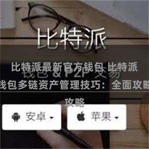 比特派最新官方钱包 比特派钱包多链资产管理技巧：全面攻略