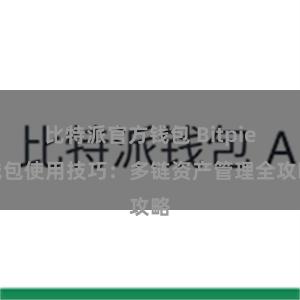 比特派官方钱包 Bitpie钱包使用技巧：多链资产管理全攻略