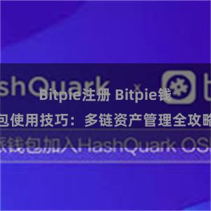 Bitpie注册 Bitpie钱包使用技巧：多链资产管理全攻略