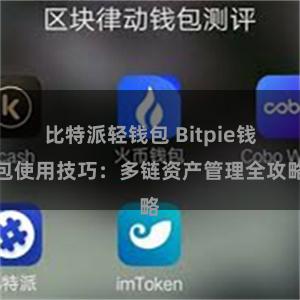 比特派轻钱包 Bitpie钱包使用技巧：多链资产管理全攻略