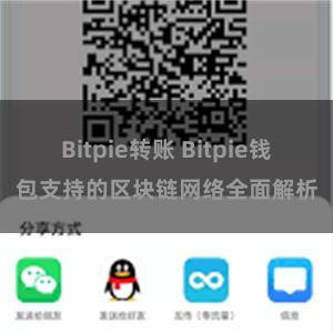 Bitpie转账 Bitpie钱包支持的区块链网络全面解析