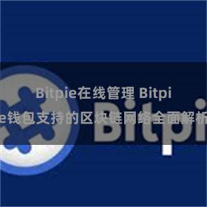 Bitpie在线管理 Bitpie钱包支持的区块链网络全面解析
