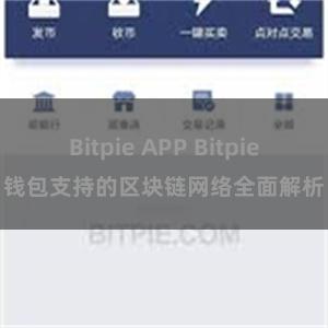 Bitpie APP Bitpie钱包支持的区块链网络全面解析