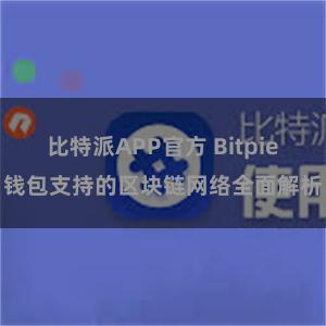 比特派APP官方 Bitpie钱包支持的区块链网络全面解析