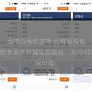 比特派系统支持 比特派钱包：数字资产管理生态进化，无限可能！