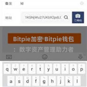 Bitpie加密 Bitpie钱包：数字资产管理助力者