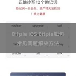 Bitpie iOS Bitpie钱包常见问题解决方法