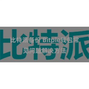 比特派备份 Bitpie钱包常见问题解决方法