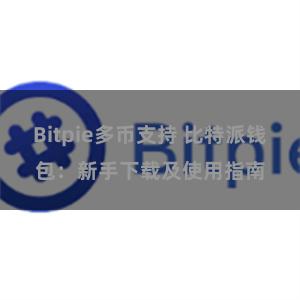 Bitpie多币支持 比特派钱包：新手下载及使用指南