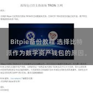 Bitpie备份教程 选择比特派作为数字资产钱包的原因。