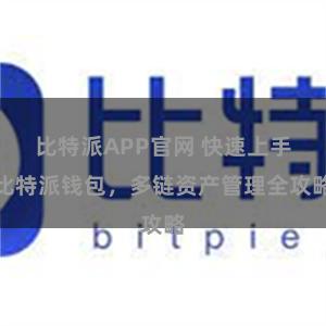 比特派APP官网 快速上手比特派钱包，多链资产管理全攻略