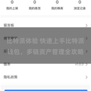 比特派体验 快速上手比特派钱包，多链资产管理全攻略