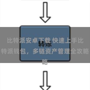 比特派安卓下载 快速上手比特派钱包，多链资产管理全攻略