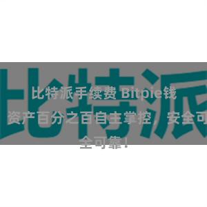 比特派手续费 Bitpie钱包：资产百分之百自主掌控，安全可靠！