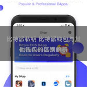 比特派私钥 比特派钱包与其他钱包的区别解析