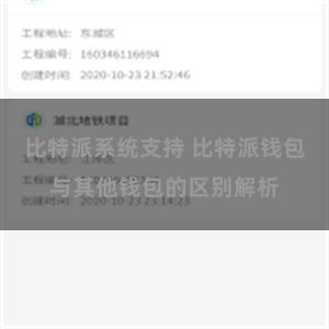 比特派系统支持 比特派钱包与其他钱包的区别解析