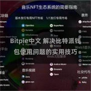Bitpie中文 解决比特派钱包使用问题的实用技巧