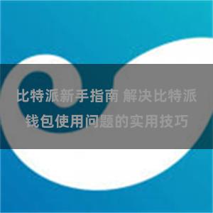 比特派新手指南 解决比特派钱包使用问题的实用技巧