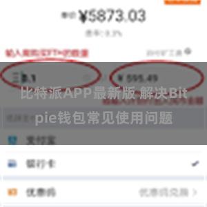 比特派APP最新版 解决Bitpie钱包常见使用问题