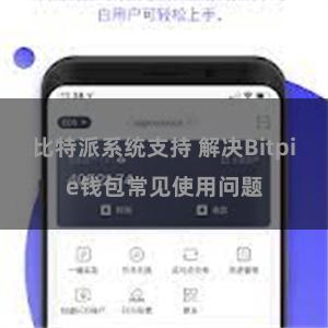 比特派系统支持 解决Bitpie钱包常见使用问题