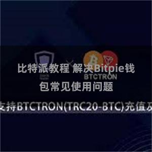 比特派教程 解决Bitpie钱包常见使用问题