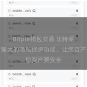 Bitpie钱包交易 比特派钱包：强大的隐私保护功能，让您资产更安全