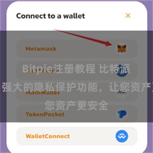 Bitpie注册教程 比特派钱包：强大的隐私保护功能，让您资产更安全
