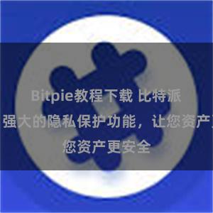 Bitpie教程下载 比特派钱包：强大的隐私保护功能，让您资产更安全