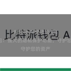 Bitpie APP地址 Bitpie钱包：强大的隐私保护功能，守护您的资产