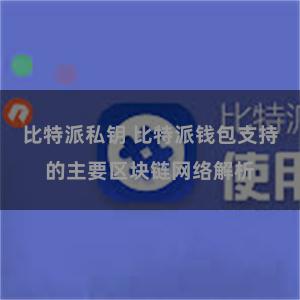 比特派私钥 比特派钱包支持的主要区块链网络解析