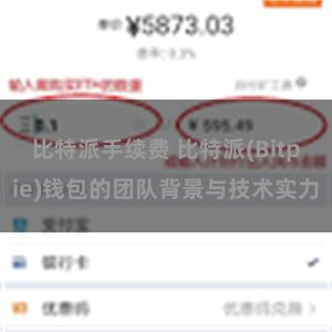 比特派手续费 比特派(Bitpie)钱包的团队背景与技术实力