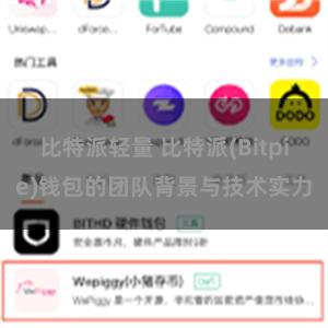 比特派轻量 比特派(Bitpie)钱包的团队背景与技术实力
