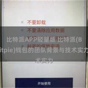 比特派APP轻量版 比特派(Bitpie)钱包的团队背景与技术实力