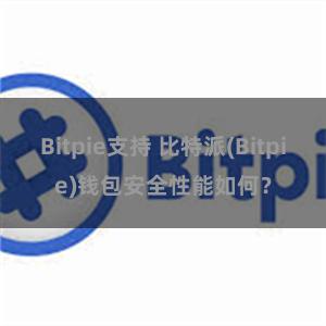 Bitpie支持 比特派(Bitpie)钱包安全性能如何？