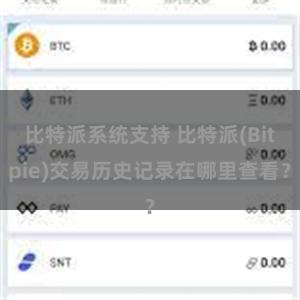 比特派系统支持 比特派(Bitpie)交易历史记录在哪里查看？